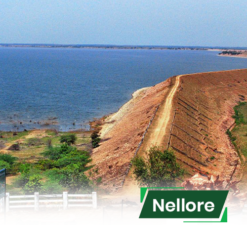 Personal loan in Nellore